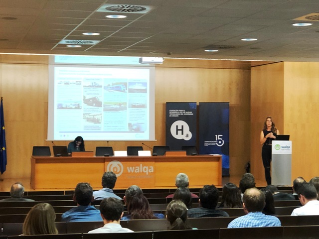 Electrólisis: Características, capacidades y proyecciones