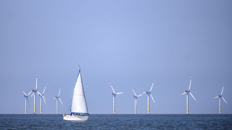 windfarm-1-800x450