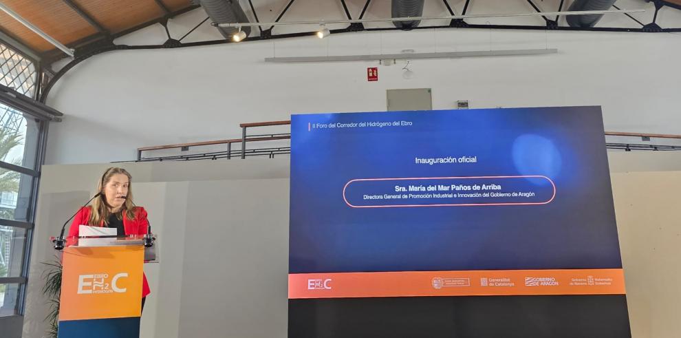 Aragón se consolida como líder en hidrógeno verde en el II Foro del Hidrógeno del Corredor del Ebro