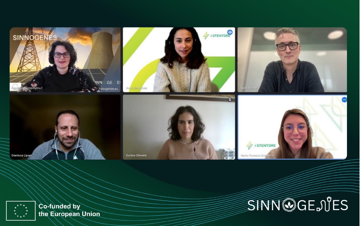 Four European Projects Unite to Host Collaborative Energy Talks