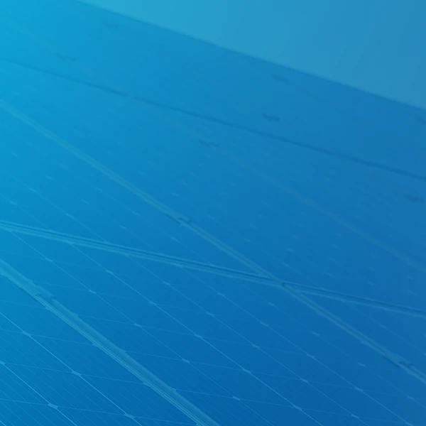 Asesoría en producción, almacenamiento y usos